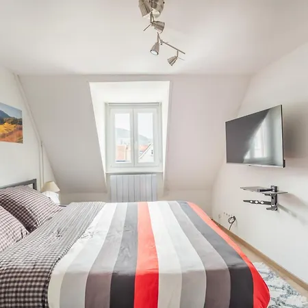 Studio 11 Meuble Tourisme - Vue Vosges - Coeur Munster 公寓 *