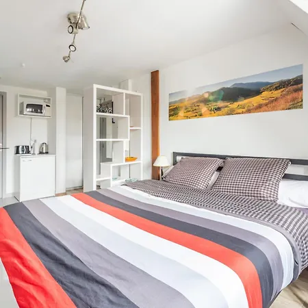 公寓 Studio 11 Meuble Tourisme - Vue Vosges - Coeur Munster 蒙斯特